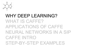 DIY Deep Learning with Caffe Workshop | PPTX