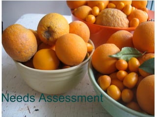 Needs Assessment