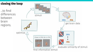 stimuli
evaluate similarity of stimuli
ﬁnd informative stimuli
optimise
get brain data
FFA
OFA
OFA
FFA
Close in OFA; far in FFA
closing the loop

…to ﬁnd
differences
between
brain
regions.


 
