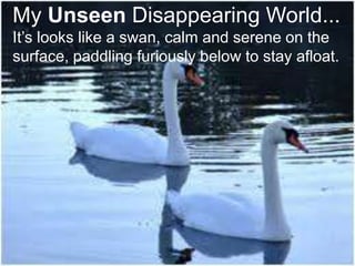 My Unseen Disappearing World...
It’s looks like a swan, calm and serene on the
surface, paddling furiously below to stay afloat.