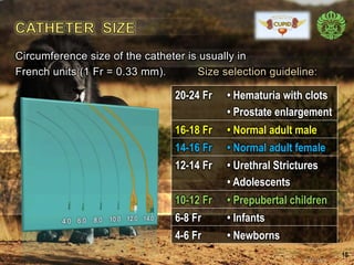 Urethral Catheterization | PDF