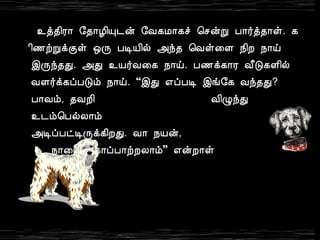 ¯ò¾¢Ã¡ §¾¡Æ¢Ô¼ý §Å¸Á¡¸î ¦ºýÚ À¡÷ò¾¡û. ¸ 
¢½üÚìÌû ´Õ ÀÊÂ¢ø «ó¾ ¦Åû¨Ç ¿¢È ¿¡ö 
þÕó¾Ð. «Ð ¯Â÷Å¨¸ ¿¡ö. À½ì¸¡Ã Å£Î¸Ç¢ø 
ÅÇ÷ì¸ôÀÎõ ¿¡ö. “þÐ ±ôÀÊ þí§¸ Åó¾Ð? 
À¡Åõ, ¾ÅÈ¢ Å¢ØóÐ 
¯¼õ¦ÀøÄ¡õ 
«ÊôÀðÊÕì¸¢ÈÐ. Å¡ ¿Âý, 
¿¡¨Âì ¸¡ôÀ¡üÈÄ¡õ” ±ýÈ¡û 
¯ò¾¢Ã¡. 
58 Wild Dogs and Wolves.wma 
 