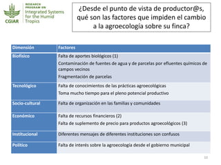 Agroecología en Nicaragua: La diversificación de sistemas productivos frente al cambio climático