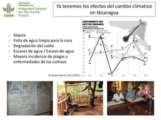 Agroecología en Nicaragua: La diversificación de sistemas productivos frente al cambio climático