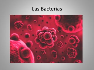 Las Bacterias
 