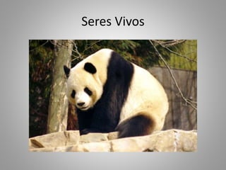 Seres Vivos
 