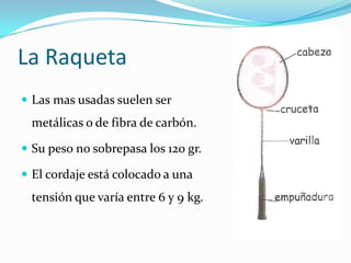 La RaquetaLas mas usadas suelen ser metálicas o de fibra de carbón.Su peso no sobrepasa los 120 gr.El cordaje está colocado a una tensión que varía entre 6 y 9 kg.
