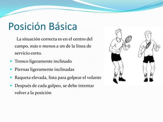 Posición Básica      La situación correcta es en el centro del campo, más o menos a 1m de la línea de servicio corto.Tronco ligeramente inclinadoPiernas ligeramente inclinadasRaqueta elevada, lista para golpear el volanteDespués de cada golpeo, se debe intentar volver a la posición