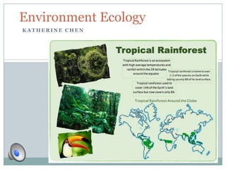 K A T H E R I N E C H E N
Environment Ecology
 