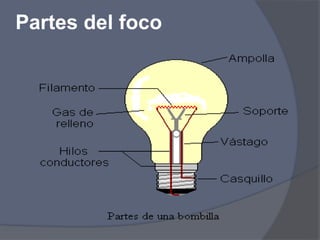 Partes del foco
 