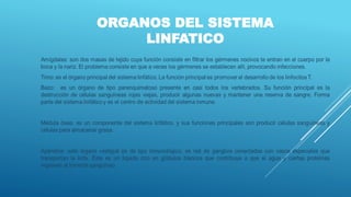 ORGANOS DEL SISTEMA
LINFATICO
 