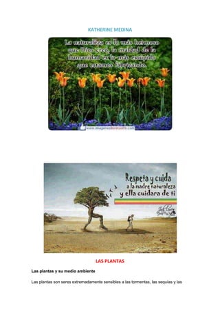 KATHERINE MEDINA
LAS PLANTAS
Las plantas y su medio ambiente
Las plantas son seres extremadamente sensibles a las tormentas, las sequías y las