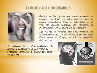 Dentro de los riesgos que puede provocar el 
consumo de LSD, se debe destacar que no 
genera dependencia física ni sobredosis. A su 
vez, los efectos negativos del consume, se 
interrumpen con el freno de su consumo. 
Los riesgos se vinculan casi directamente con 
la experiencia que se viva durante su consumo. 
Como todas las drogas, los efectos dependen 
del usuario 
sin embargo, con el LSD, contaminas tu 
cuerpo y contribuye al desarrollo de 
problemas mentales al mismo que daña 
tu cerebro 
 