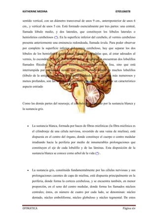 KATHERINE MEDINA 0705106078 
sentido vertical, con un diámetro transversal de unos 9 cm., anteroposterior de unos 6 
cm., y vertical de unos 5 cm. Está formado esencialmente por tres partes: una central, 
llamada lóbulo medio, y dos laterales, que constituyen los lóbulos laterales o 
hemisferios cerebelosos (*). En la superficie inferior del cerebelo, el vermis cerebeloso 
presenta anteriormente una eminencia redondeada, llamada úvula. Para poder observar 
por completo la superficie inferior del vermis cerebeloso, hay que separar los dos 
lóbulos de los hemisferios cerebelosos, llamados amígdalas que, al estar adosados al 
vermis, lo esconden en parte. Por delante de las amígdalas se encuentran dos lobulillos 
llamados flóculos. La superficie externa del cerebelo no es lisa, sino que está 
interrumpida por numerosos surcos que dividen a cada lóbulo en muchos lobulillos 
(lóbulo de la amígdala, del flóculo, lóbulo cuadrado, etc.)(*); otros más numerosos y 
menos profundos, son las láminas del cerebelo que dan a la superficie un característico 
aspecto estriado 
Como las demás partes del neuroeje, el cerebelo está formado por la sustancia blanca y 
la sustancia gris. 
 La sustancia blanca, formada por haces de fibras mielínicas (la fibra mielínica es 
el cilindroeje de una célula nerviosa, revestido de una vaina de mielina), está 
dispuesta en el centro del órgano, donde constituye el cuerpo o centro medular 
irradiando hacia la periferia por medio de innumerables prolongaciones que 
constituyen el eje de cada lobulillo y de las láminas. Esta disposición de la 
sustancia blanca se conoce como arbol de la vida (*) . 
 La sustancia gris, constituida fundamentalmente por las células nerviosas y sus 
prolongaciones carentes de capa de mielina, está dispuesta principalmente en la 
periferia, donde forma la corteza cerebelosa, y se encuentra también, en menor 
proporción, en el seno del centro medular, donde forma los llamados núcleos 
centrales; éstos, en número de cuatro por cada lado, se denominan: núcleo 
dentado, núcleo emboliforme, núcleo globuloso y núcleo tegmental. De estos 
OFIMATICA Página xiv 
 
