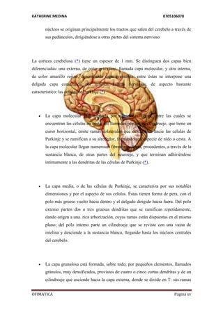 KATHERINE MEDINA 0705106078 
núcleos se originan principalmente los tractos que salen del cerebelo a través de 
sus pedúnculos, dirigiéndose a otras partes del sistema nervioso 
La corteza cerebelosa (*) tiene un espesor de 1 mm. Se distinguen dos capas bien 
diferenciadas: una externa, de color gris claro, llamada capa molecular, y otra interna, 
de color amarillo rojizo, denominada capa granulosa; entre éstas se interpone una 
delgada capa constituida por gruesas células nerviosas, de aspecto bastante 
característico: las células de Purkinje (*) 
 La capa molecular está formada por numerosas fibras, entre las cuales se 
encuentran las células en cesta, así llamadas porque su cilindroeje, que tiene un 
curso horizontal, emite ramas colaterales que descienden hacia las celulas de 
Purkinje y se ramifican a su alrededor, formando una especie de nido o cesta. A 
la capa molecular llegan numerosas fibras trepadoras, procedentes, a través de la 
sustancia blanca, de otras partes del neuroeje, y que terminan adhiriéndose 
íntimamente a las dendritas de las células de Purkinje (*). 
 La capa media, o de las células de Purkinje, se caracteriza por sus notables 
dimensiones y por el aspecto de sus celulas. Éstas tienen forma de pera, con el 
polo más grueso vuelto hacia dentro y el delgado dirigido hacia fuera. Del polo 
externo parten dos o tres gruesas dendritas que se ramifican repetidamente, 
dando origen a una. rica arborización, cuyas ramas están dispuestas en el mismo 
plano; del polo interno parte un cilindroeje que se reviste con una vaina de 
mielina y desciende a la sustancia blanca, llegando hasta los núcleos centrales 
del cerebelo. 
 La capa granulosa está formada, sobre todo, por pequeños elementos, llamados 
gránulos, muy densificados, provistos de cuatro o cinco cortas dendritas y de un 
cilindroeje que asciende hacia la capa externa, donde se divide en T: sus ramas 
OFIMATICA Página xv 
 