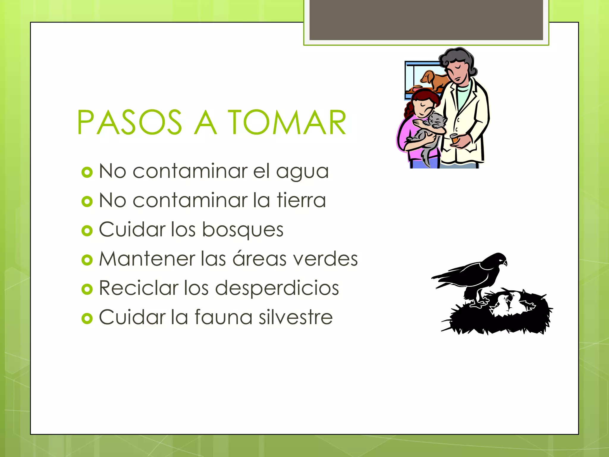 PASOS A TOMAR
No contaminar el agua
No contaminar la tierra
Cuidar los bosques
Mantener las áreas verdes
Reciclar los desperdicios
Cuidar la fauna silvestre