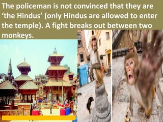 The policeman is not convinced that they are ‘the Hindus’ (only Hindus are allowed to enter the temple). A fight breaks out between two monkeys.  
