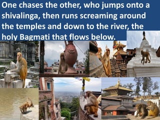 One chases the other, who jumps onto a shivalinga, then runs screaming around the temples and down to the river, the holy Bagmati that flows below.  