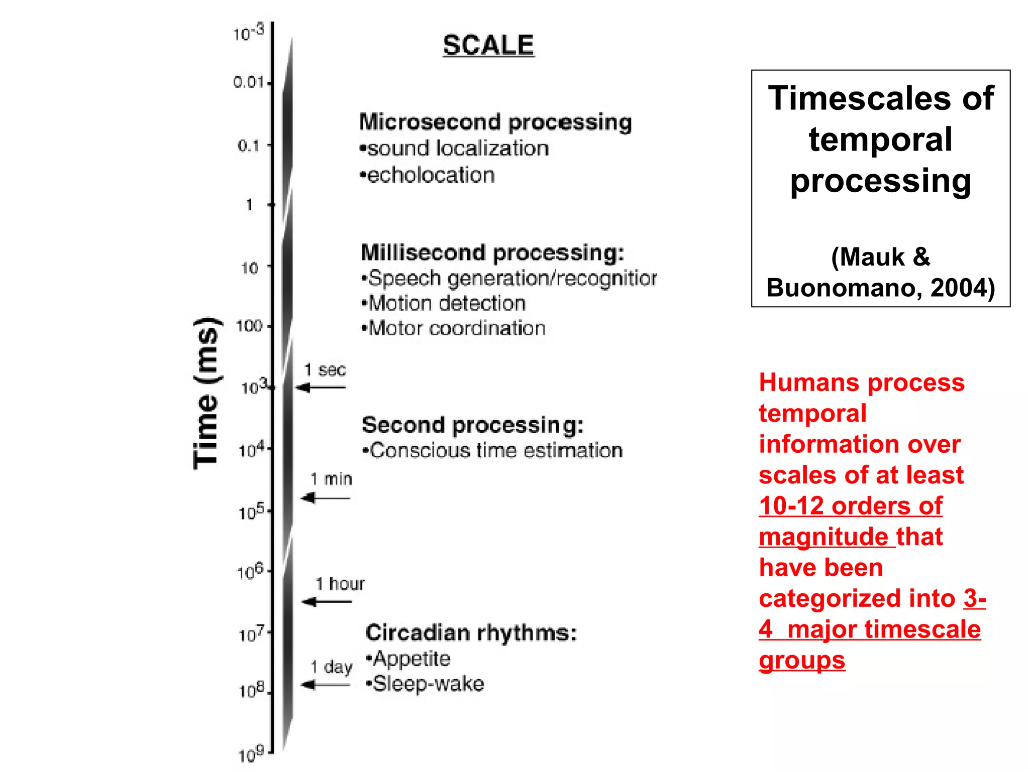 Timescales of
temporal
processing
(Mauk &
Buonomano, 2004)
Humans process
temporal
information over
scales of at least
10-12 orders of
magnitude that
have been
categorized into 3-
4 major timescale
groups
 