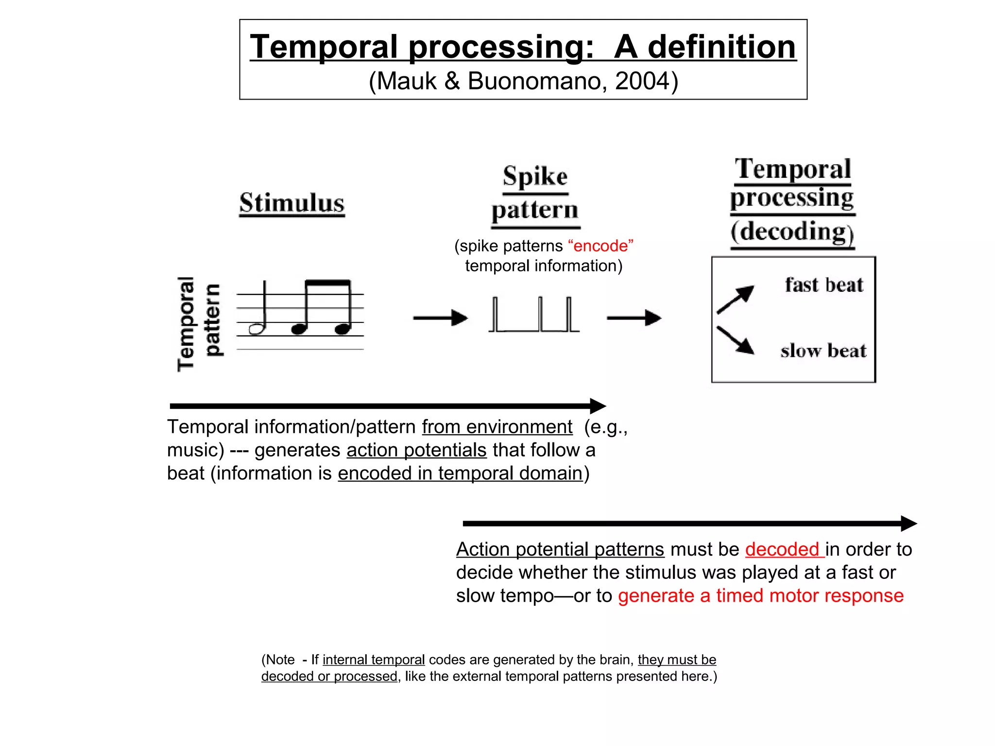 Temporal processing: A definition
(Mauk & Buonomano, 2004)
Temporal information/pattern from environment (e.g.,
music) --- generates action potentials that follow a
beat (information is encoded in temporal domain)
(Note - If internal temporal codes are generated by the brain, they must be
decoded or processed, like the external temporal patterns presented here.)
Action potential patterns must be decoded in order to
decide whether the stimulus was played at a fast or
slow tempo—or to generate a timed motor response
(spike patterns “encode”
temporal information)
 