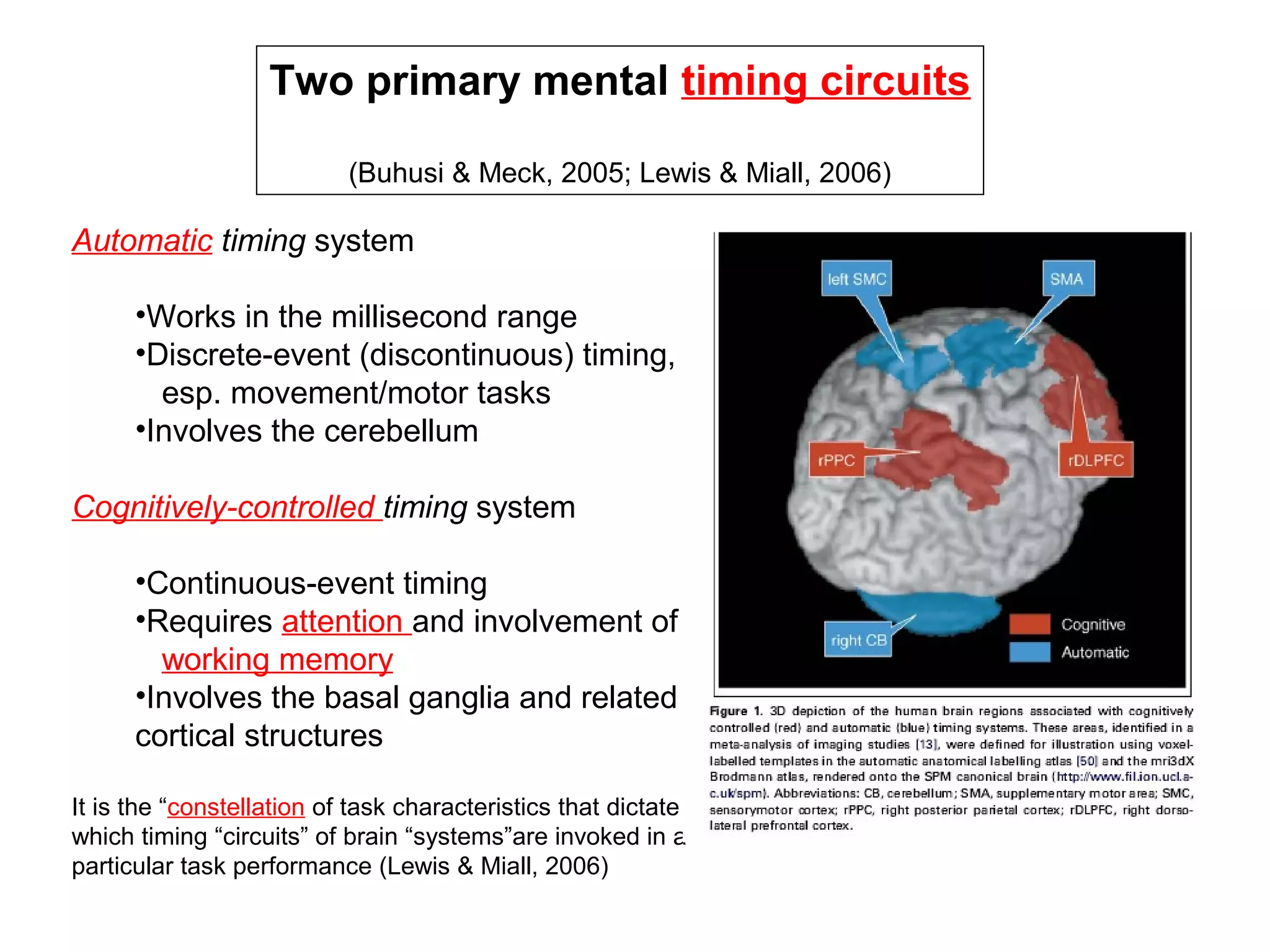 Automatic timing system
•Works in the millisecond range
•Discrete-event (discontinuous) timing,
esp. movement/motor tasks
•Involves the cerebellum
Cognitively-controlled timing system
•Continuous-event timing
•Requires attention and involvement of
working memory
•Involves the basal ganglia and related
cortical structures
It is the “constellation of task characteristics that dictate
which timing “circuits” of brain “systems”are invoked in a
particular task performance (Lewis & Miall, 2006)
Two primary mental timing circuits
(Buhusi & Meck, 2005; Lewis & Miall, 2006)
 