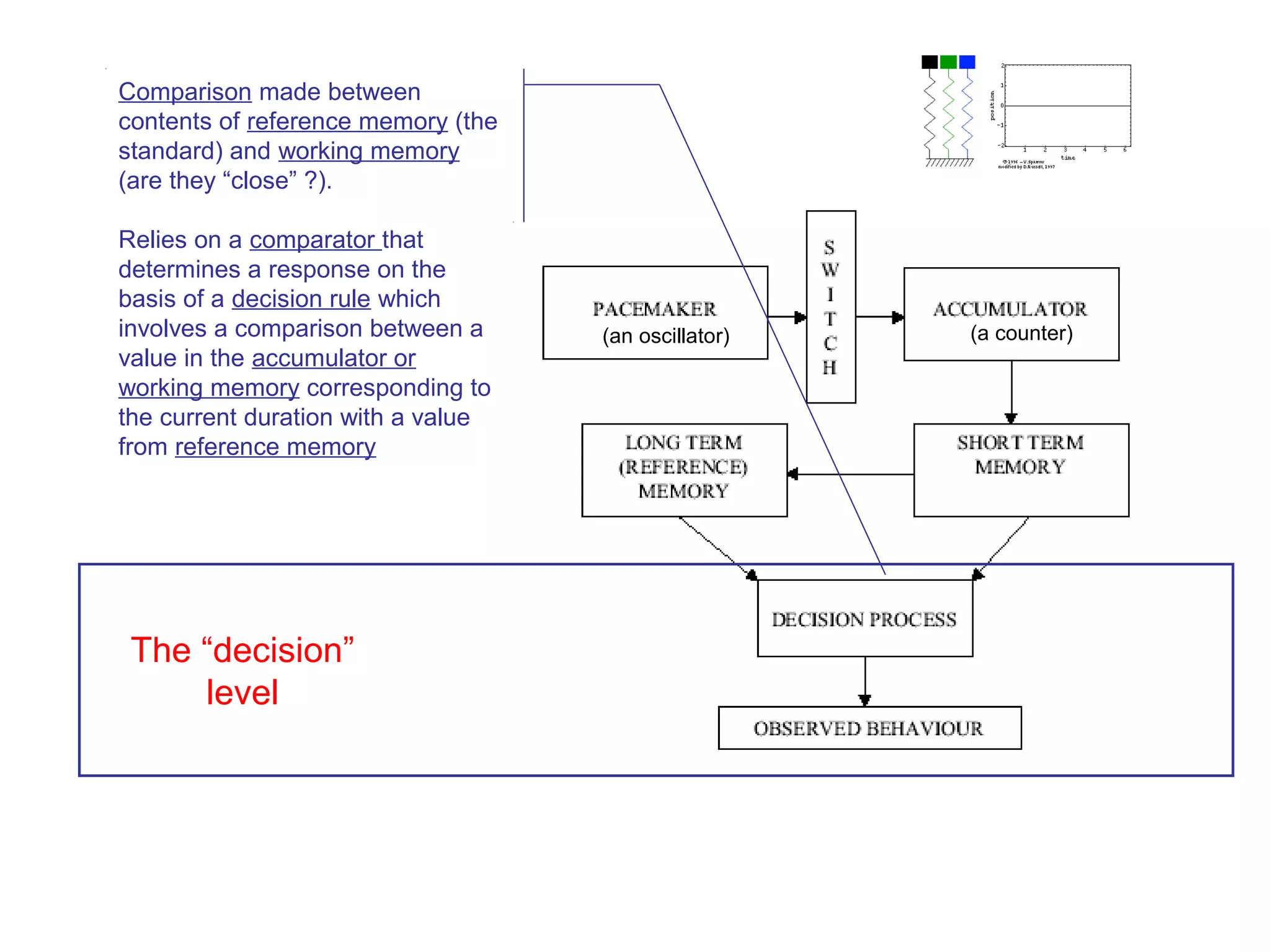 The “decision”
level
Comparison made between
contents of reference memory (the
standard) and working memory
(are they “close” ?).
Relies on a comparator that
determines a response on the
basis of a decision rule which
involves a comparison between a
value in the accumulator or
working memory corresponding to
the current duration with a value
from reference memory
(an oscillator) (a counter)
 