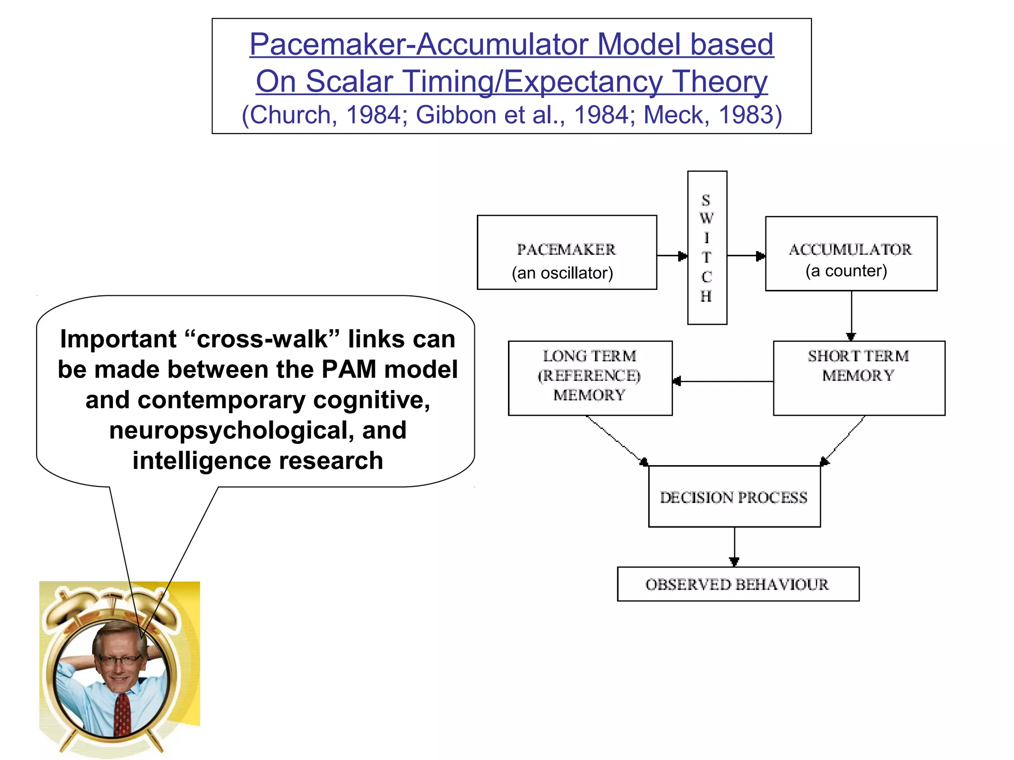 Pacemaker-Accumulator Model based
On Scalar Timing/Expectancy Theory
(Church, 1984; Gibbon et al., 1984; Meck, 1983)
Important “cross-walk” links can
be made between the PAM model
and contemporary cognitive,
neuropsychological, and
intelligence research
(an oscillator) (a counter)
 