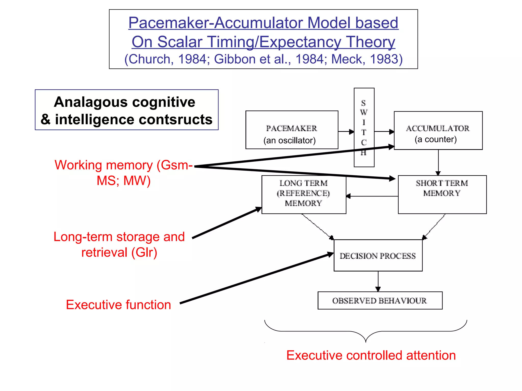 Pacemaker-Accumulator Model based
On Scalar Timing/Expectancy Theory
(Church, 1984; Gibbon et al., 1984; Meck, 1983)
Analagous cognitive
& intelligence contsructs
Working memory (Gsm-
MS; MW)
Long-term storage and
retrieval (Glr)
Executive function
Executive controlled attention
(an oscillator) (a counter)
 