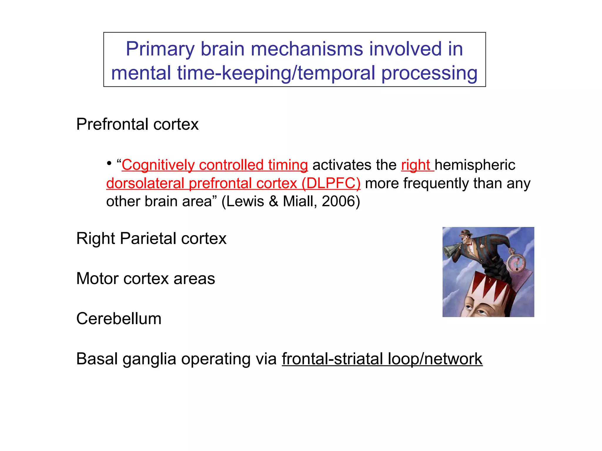 Prefrontal cortex
• “Cognitively controlled timing activates the right hemispheric
dorsolateral prefrontal cortex (DLPFC) more frequently than any
other brain area” (Lewis & Miall, 2006)
Right Parietal cortex
Motor cortex areas
Cerebellum
Basal ganglia operating via frontal-striatal loop/network
Primary brain mechanisms involved in
mental time-keeping/temporal processing
 