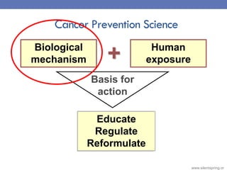Cancer Prevention Science
Biological
mechanism
Human
exposure
Basis for
action
+
Educate
Regulate
Reformulate
Biological
m...