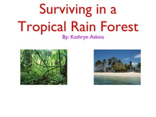 Surviving in a 
Tropical Rain Forest 
By: Kathryn Atkins 
 