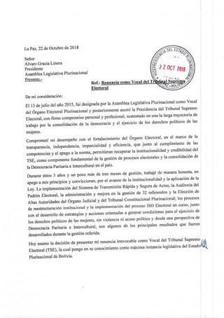 Carta de renuncia de la presidenta del Tribunal Electoral.