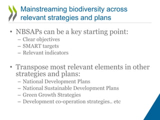 Mainstreaming Biodiversity at the National Level-Katia Karousakis-OECD ...