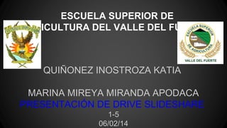 ESCUELA SUPERIOR DE
AGRICULTURA DEL VALLE DEL FUERTE

QUIÑONEZ INOSTROZA KATIA
MARINA MIREYA MIRANDA APODACA
PRESENTACIÓN DE DRIVE SLIDESHARE
1-5
06/02/14

 