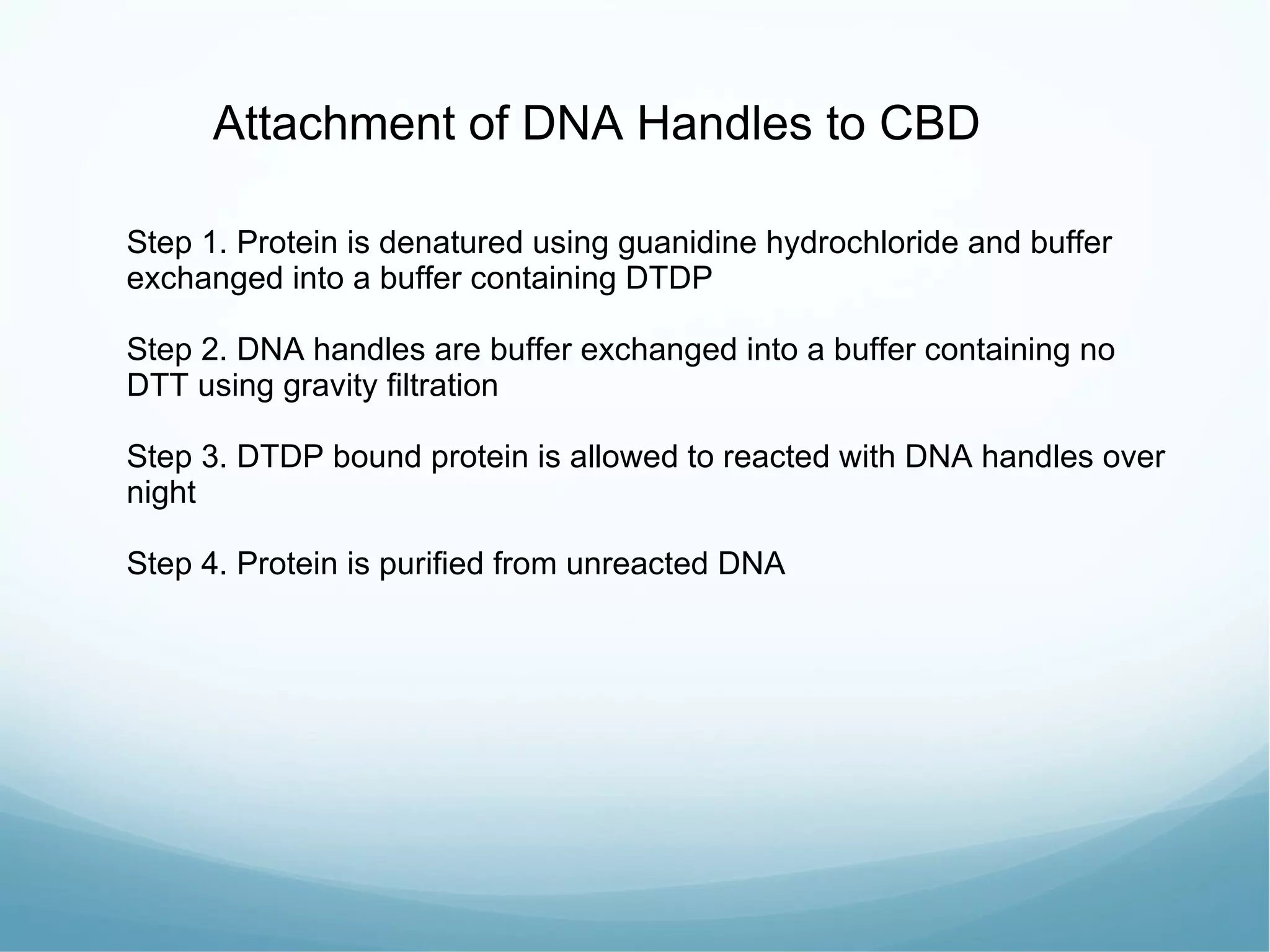 Step 1. Protein is denatured using guanidine hydrochloride and buffer exchanged into a buffer containing DTDP  Step 2. DNA handles are buffer exchanged into a buffer containing no DTT using gravity filtration Step 3. DTDP bound protein is allowed to reacted with DNA handles over night Step 4. Protein is purified from unreacted DNA Attachment of DNA Handles to CBD 