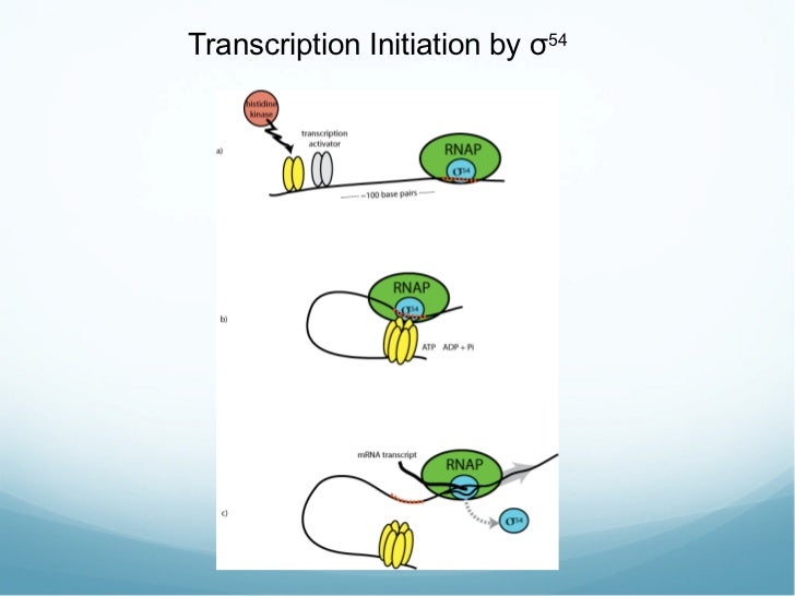 Uc berkeley engineering honors program picture