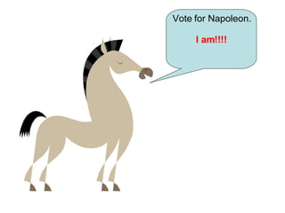 Vote for Napoleon. I am!!!! 