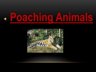 Poaching Animals
      Title

       By:
 