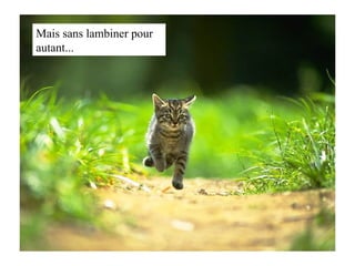 Mais sans lambiner pour autant... 