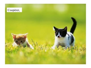 Coopérer, 