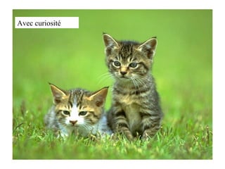 Avec curiosité 