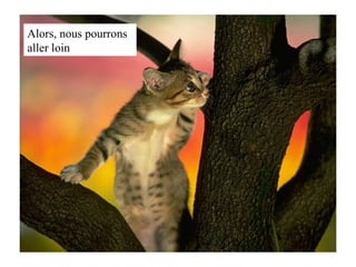 Alors, nous pourrons aller loin 