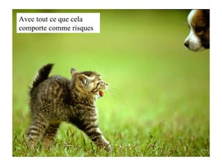 Avec tout ce que cela comporte comme risques 