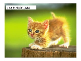 Tout en restant lucide 