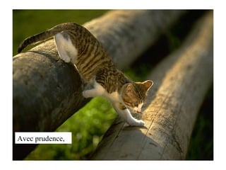 Avec prudence, 