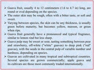 GUAVA PROCESSING | PPTX