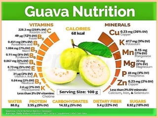 GUAVA PROCESSING | PPTX