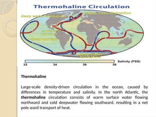 Thermohaline
Large-scale density-driven circulation in the ocean, caused by
differences in temperature and salinity. In the north Atlantic, the
thermohaline circulation consists of warm surface water flowing
northward and cold deepwater flowing southward, resulting in a net
pole ward transport of heat.
 