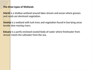 The three types of Wetlands
Marsh is a shallow wetland around lakes stream and ocean where grasses
and reeds are dominant vegetation.
Swamp is a wetland with lush tress and vegetation found in low-lying areas
beside slow moving rivers.
Estuary is a partly enclosed coastal body of water where freshwater from
stream meets the saltwater from the sea.
 