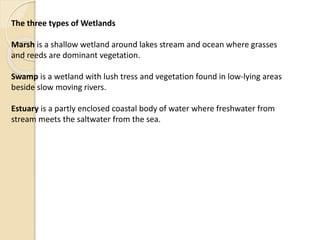 The three types of Wetlands
Marsh is a shallow wetland around lakes stream and ocean where grasses
and reeds are dominant vegetation.
Swamp is a wetland with lush tress and vegetation found in low-lying areas
beside slow moving rivers.
Estuary is a partly enclosed coastal body of water where freshwater from
stream meets the saltwater from the sea.
 